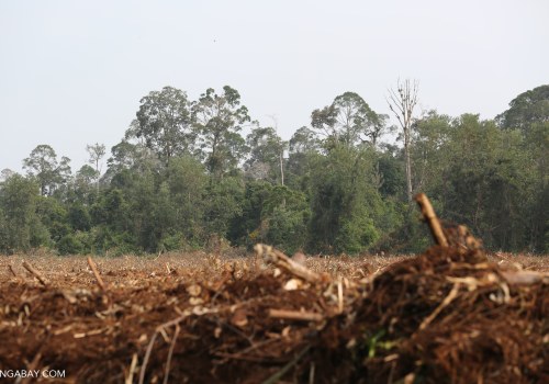 What are the Synonyms for Land Clearing?